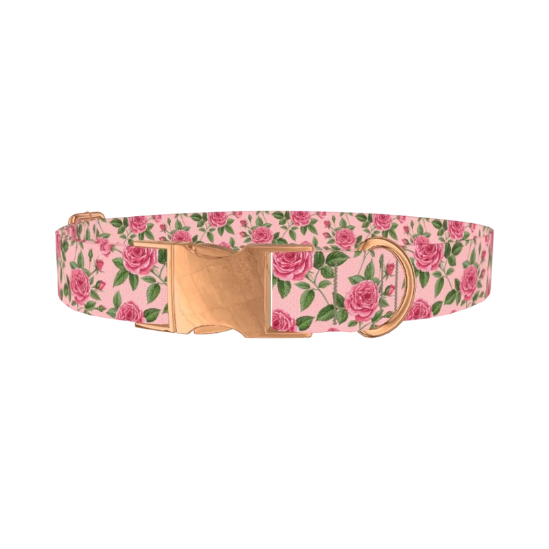 Floral Rose Dog Collar - metal rose gold