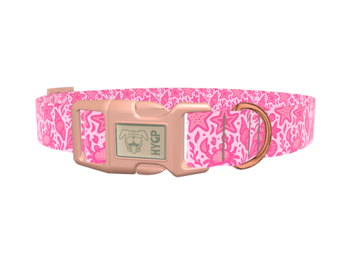 Seashell Ocean Dog Collar