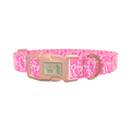 Seashell Ocean Dog Collar - plastic silver