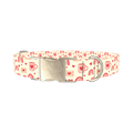 Valentine Mug and Envelope Dog Collar - metal silver