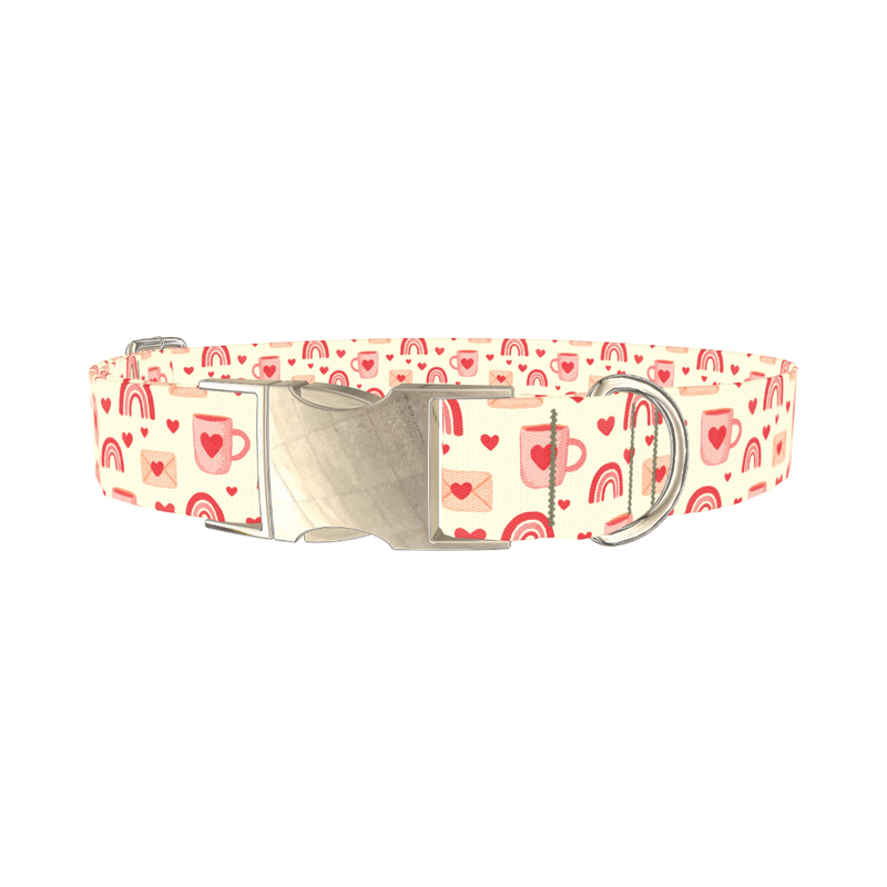Valentine Mug and Envelope Dog Collar - metal silver