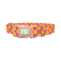 Pineapple Fruit Dog Collar - plastic rose gold
