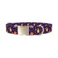 Halloween Witch Potion Dog Collar - metal silver