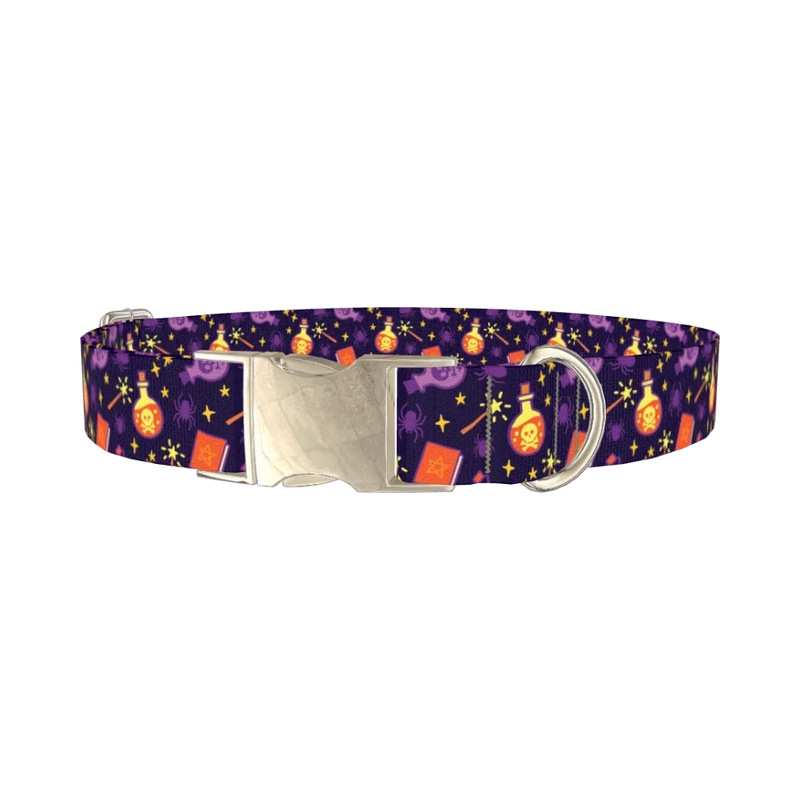 Halloween Witch Potion Dog Collar - metal silver