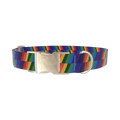 Zigzag Rainbow Dog Collar - metal gold
