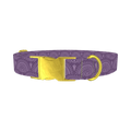 Purple Eye Pattern Dog Collar - metal gold