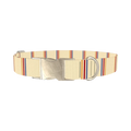 Hexagon Stripe 8870488211671 Dog Collar - metal silver