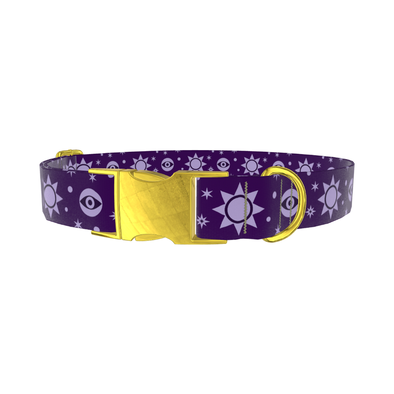 Mystical Sun Eye Dog Collar - metal rose gold