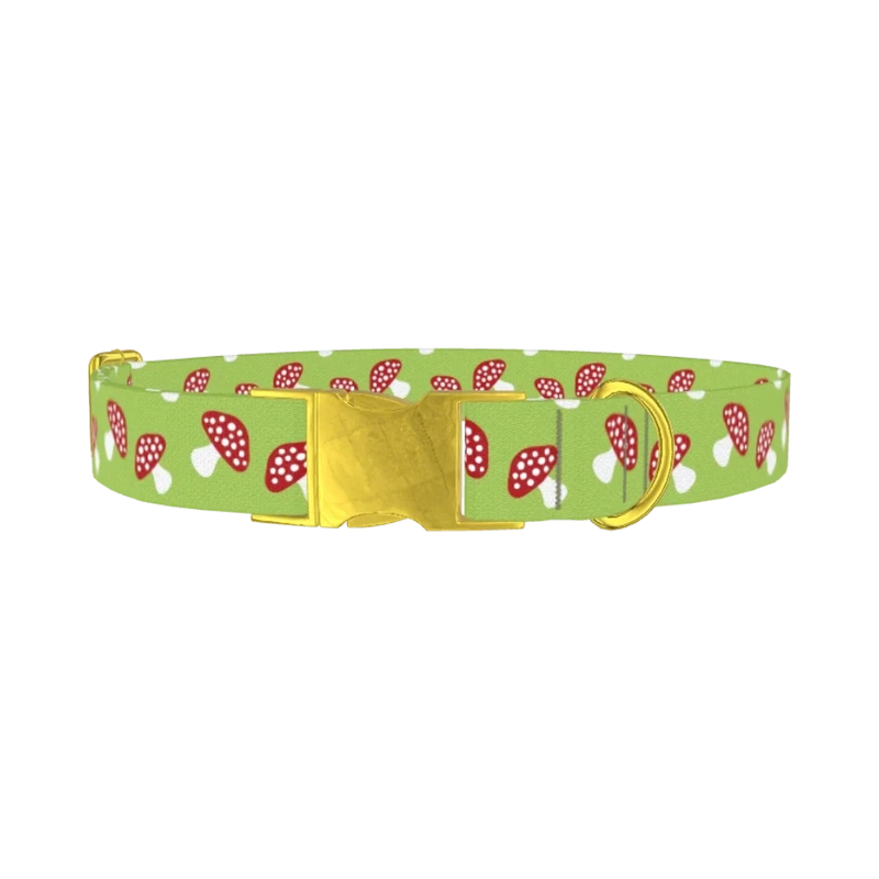 Green Mushroom Dog Collar - metal gold
