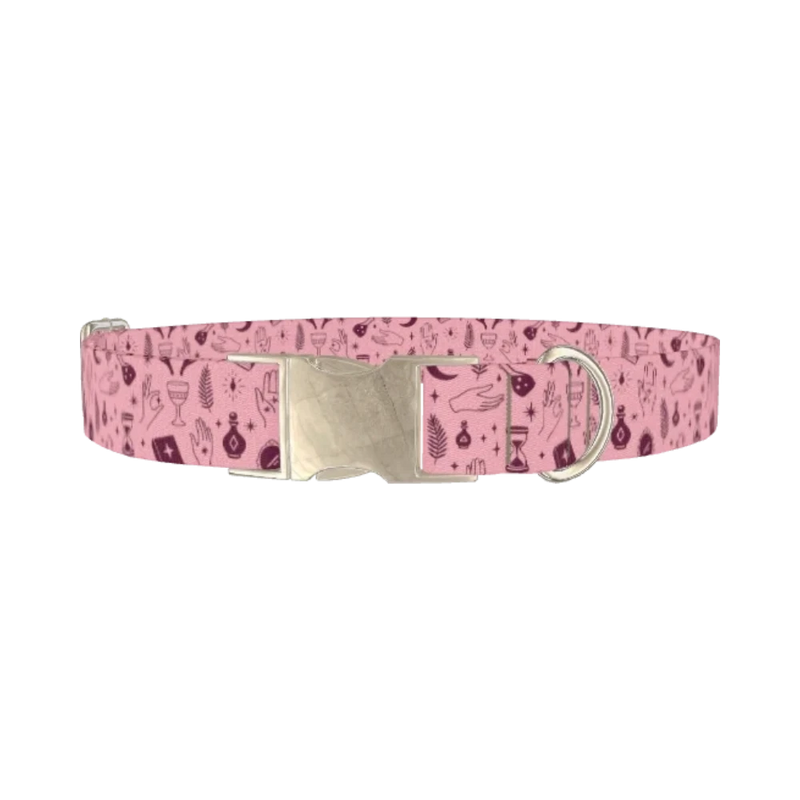 Halloween Palmistry Dog Collar - metal silver