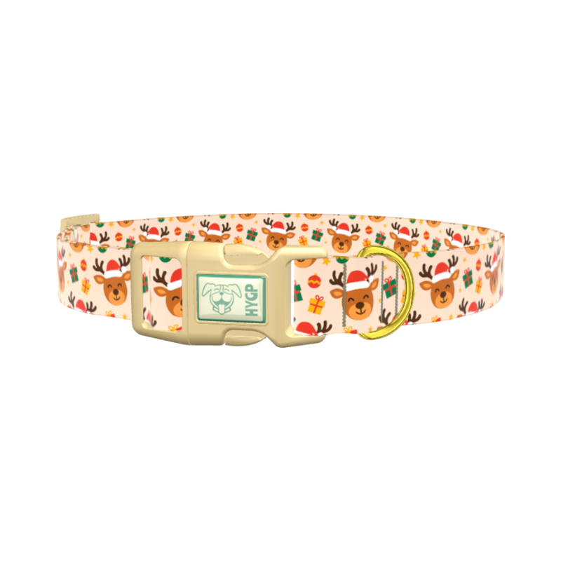 Festive Deer Gift Dog Collar - plastic gold