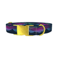 Northern Lights Dog Collar - metal gold