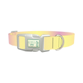 Sunset Gradient Dog Collar - plastic silver