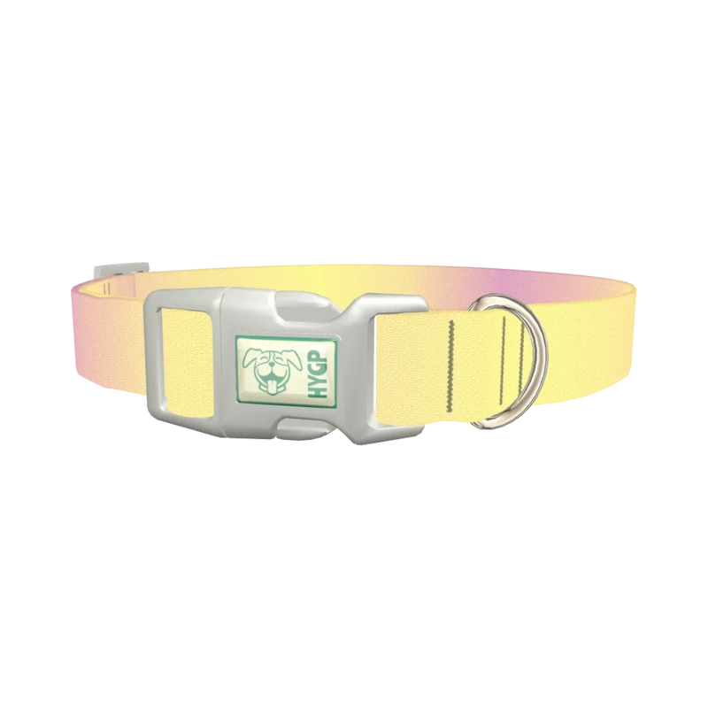 Sunset Gradient Dog Collar - plastic silver