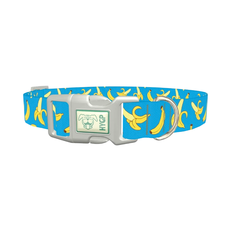 Banana Fruit Dog Collar - plastic silver