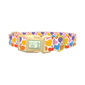 Multicolor Heart Dog Collar - plastic gold