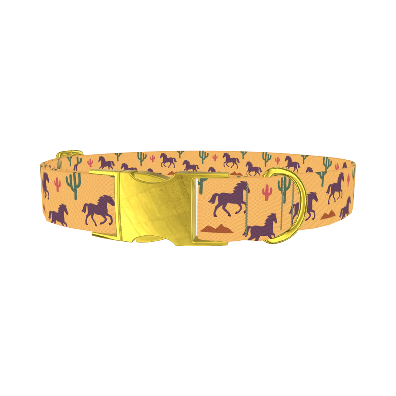 Western Desert Horse Dog Collar - metal gold