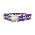Trouble Maker Dog Collar - plastic silver