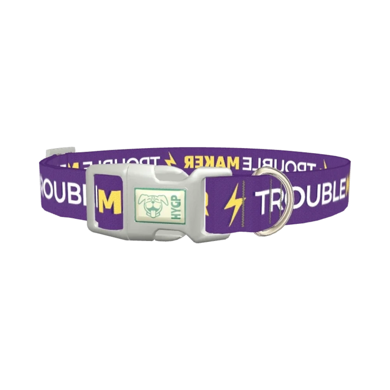 Trouble Maker Dog Collar - plastic silver
