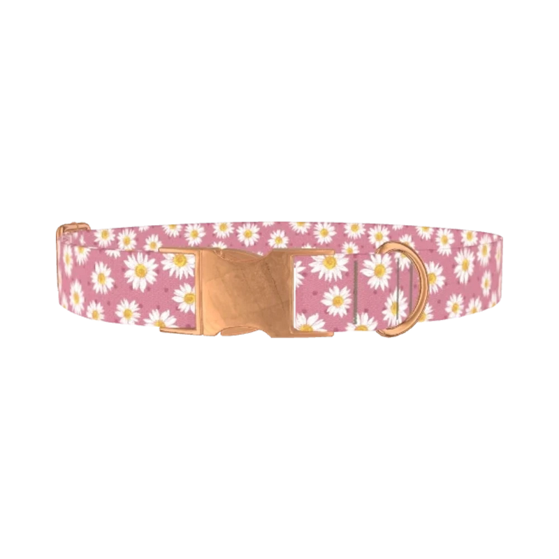 Pink Daisy Dog Collar - metal rose gold