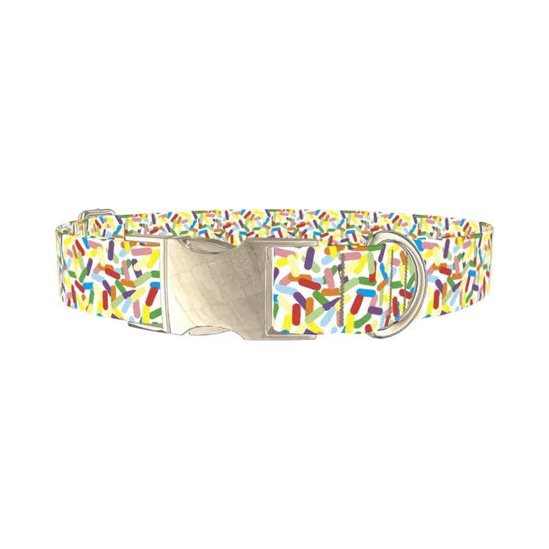 Confetti Pattern Dog Collar - metal silver