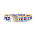 Birthday Chevron Dog Collar - metal silver