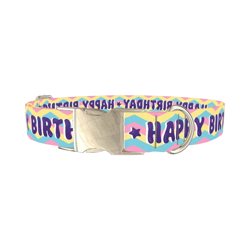Birthday Chevron Dog Collar - metal silver