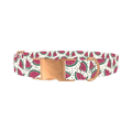 Watermelon Fruit Dog Collar - metal rose gold