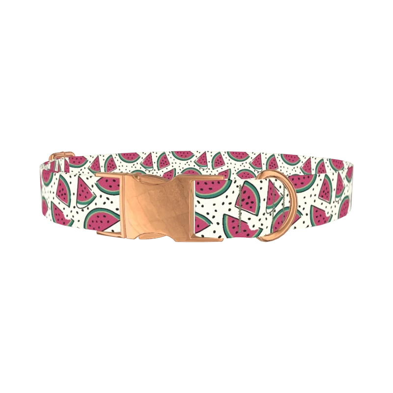 Watermelon Fruit Dog Collar - metal rose gold