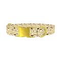 Witchy Halloween Dog Collar - metal gold