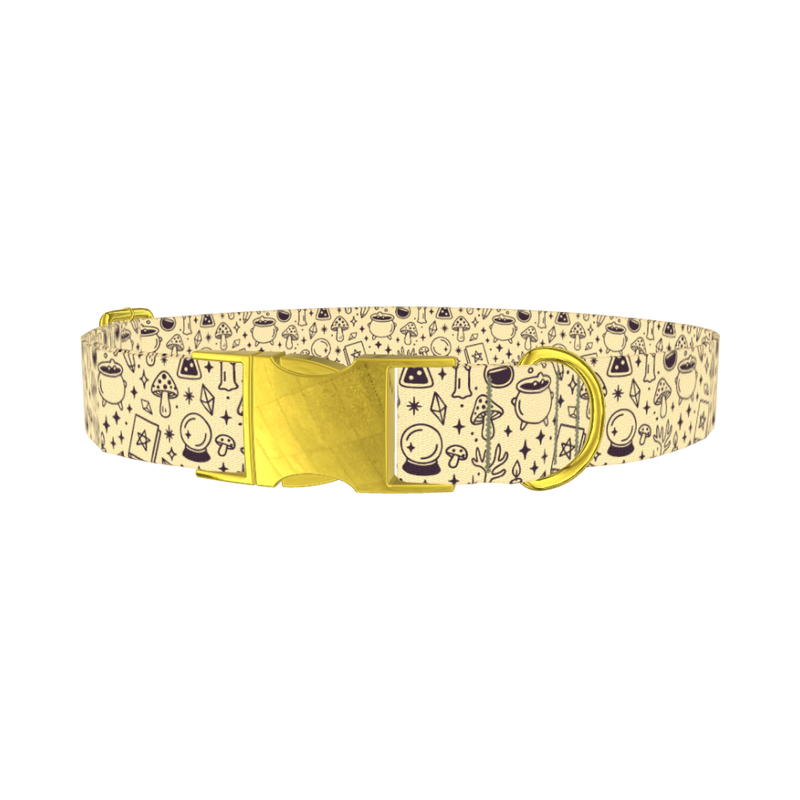 Witchy Halloween Dog Collar - metal gold