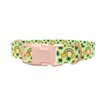 Leprechaun Rainbow Dog Collar - plastic gold