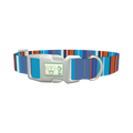 Orange Blue Stripes Dog Collar - plastic silver