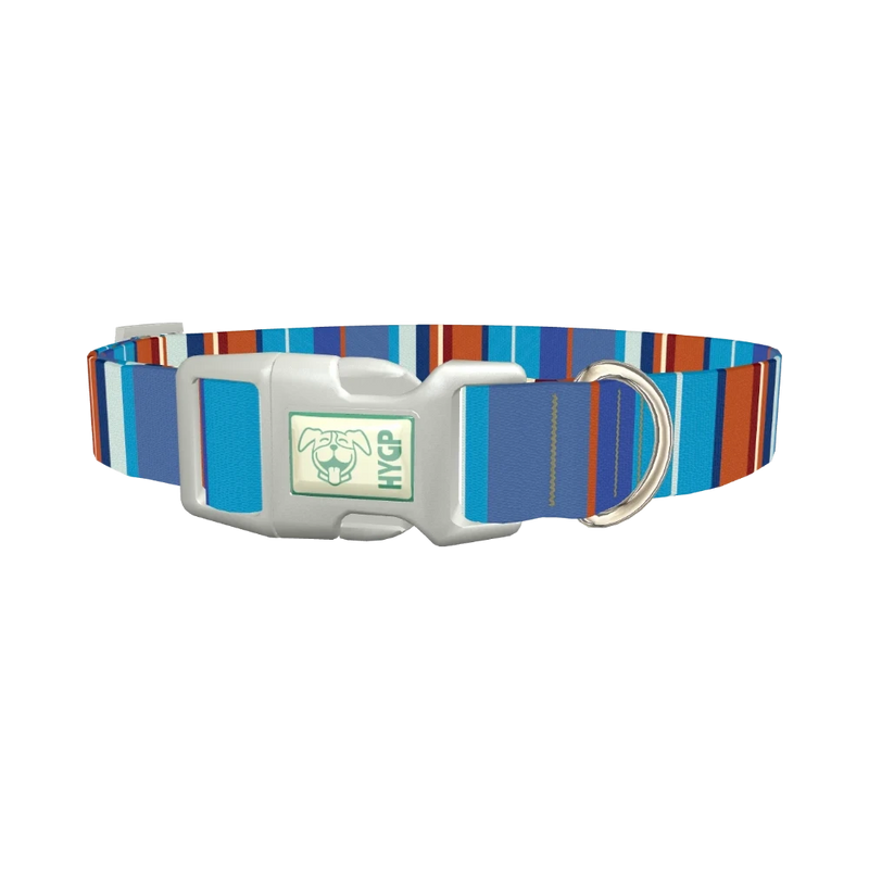 Orange Blue Stripes Dog Collar - plastic silver