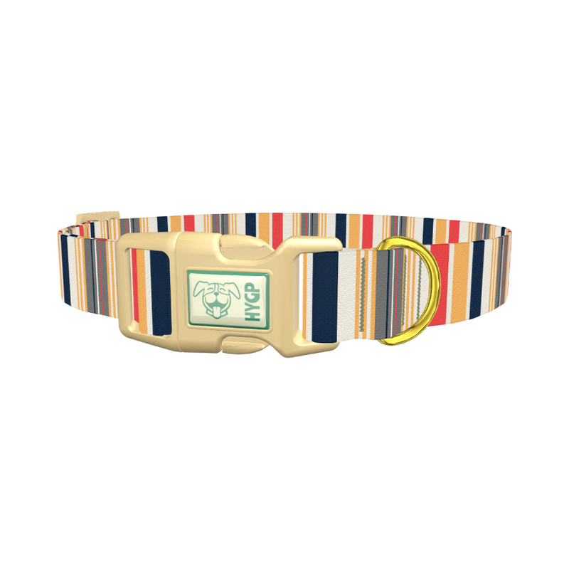 Red Yellow Stripe Dog Collar - plastic gold