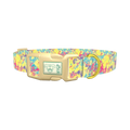 Colorful Splatter Dog Collar - plastic gold