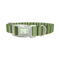 Green Striped Pattern Dog Collar - plastic silver
