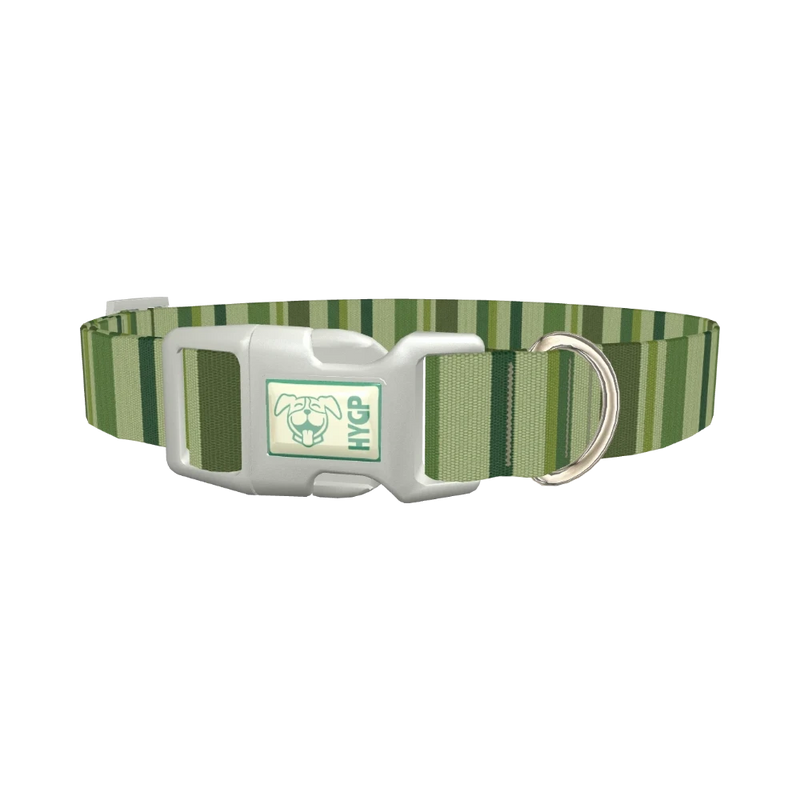 Green Striped Pattern Dog Collar - plastic silver