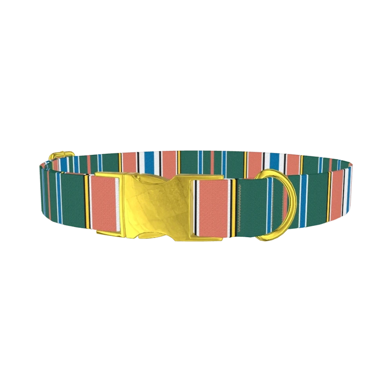 Green Orange Stripe Dog Collar - metal gold