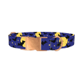 Halloween Night Dog Collar - metal rose gold