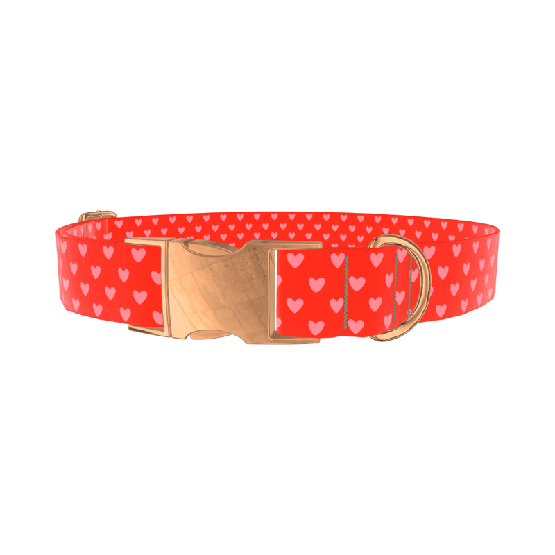 Red Heart Pattern Dog Collar - metal silver