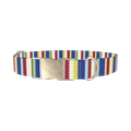 Scallop Stripe Dog Collar - metal silver