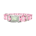 Halloween Skulls and Bats Dog Collar - plastic silver