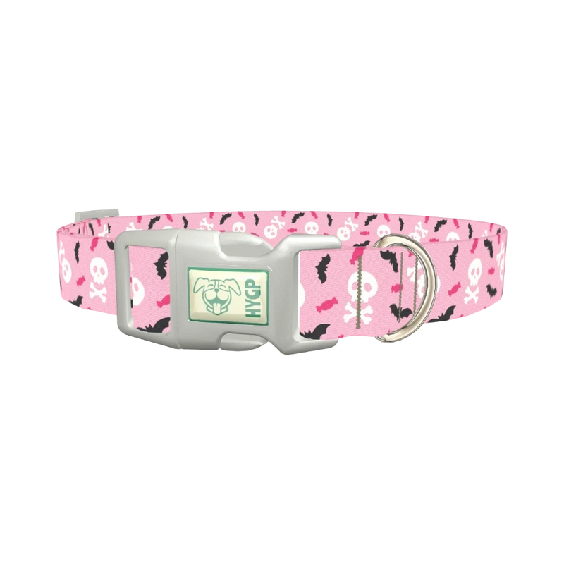 Halloween Skulls and Bats Dog Collar - plastic silver