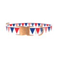 Patriotic Stars and Stripes Dog Collar - metal rose gold