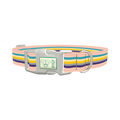 Multicolor Stripes Dog Collar - plastic silver