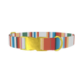 Multicolor Hexagon Stripe Dog Collar - metal gold