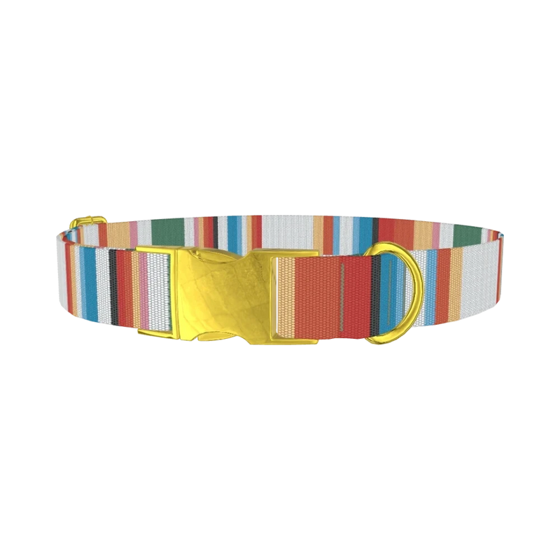 Multicolor Hexagon Stripe Dog Collar - metal gold