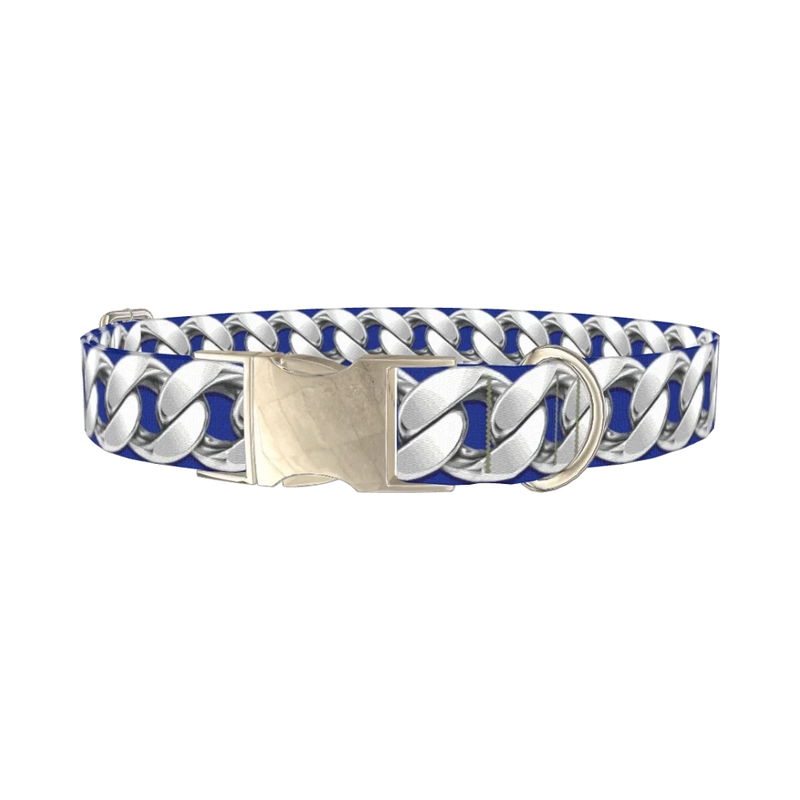 Silver Chain Blue Dog Collar - metal silver