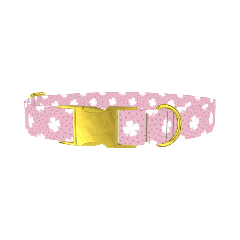 Clover Dot Dog Collar - metal gold